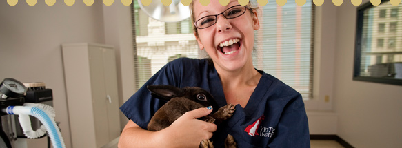 Vet Tech Institute