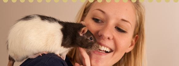 Vet Tech Institute