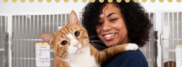 Vet Tech Institute