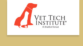 Vet Tech Institute