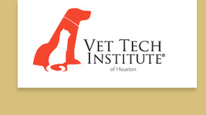 Vet Tech Institute
