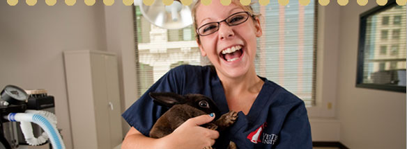 Vet Tech Institute