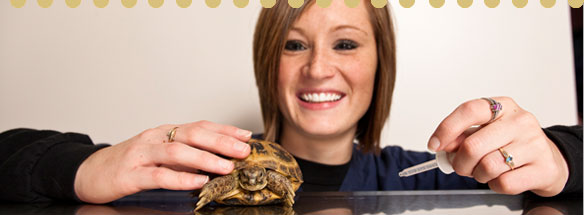 Vet Tech Institute